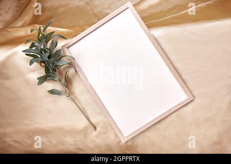 Minimalistischer imitierter Hintergrund mit Olivenbaum-Zweig. Hochwertige Fotos Stockfoto