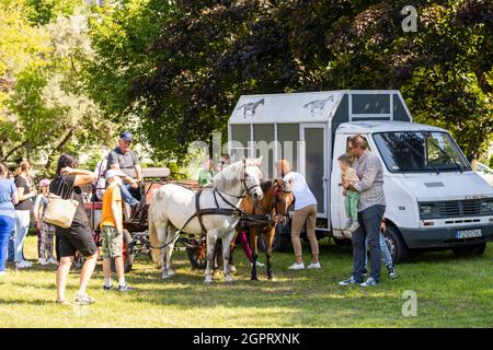 POZNAN, POLEN - 05. Sep 2021: Die Menschen mit einer Pferdekutsche Attraktion während einer Familienveranstaltung in einem Park in Lecha, Polen Stockfoto