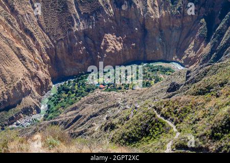 Oase Sangalle am Fuße des Colca Canyon, Peru Stockfoto