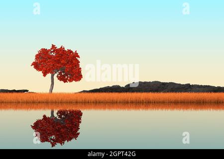 Abstract Singl Autumn Tree steht in Long Grass auf einem Flussufer in extremer Nahaufnahme. 3d-Rendering Stockfoto