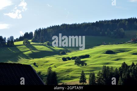 Wiesen, die am Ende des Tages vom weidenden Licht auf den Hügeln des Prags-Tals erleuchtet werden Stockfoto