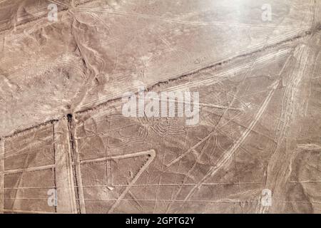 Luftaufnahme von Geoglyphen in der Nähe von Nazca - berühmte Nazca Lines, Peru. In der Mitte ist Spider Figur vorhanden. Stockfoto