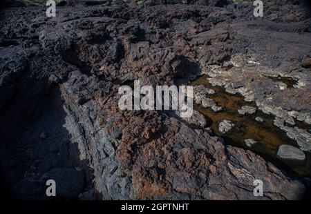 Blick auf den Lavastein an der Küste von Linosa, Sizilien. Italien Stockfoto