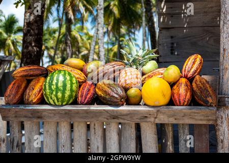 Tropische Früchte am Strand. Boipeba Island, Bundesstaat Bahia. Brasilien Stockfoto