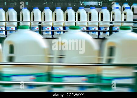 Milch verarbeitende Werk. Stockfoto