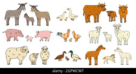 Niedliche Nutztiere Familien isoliert auf weißem Hintergrund. Vektor-Cartoon skizzieren Doodle Tiere Sammlung: Esel Gans Kuh Ochse Schwein Huhn Huhn Roo Stock Vektor