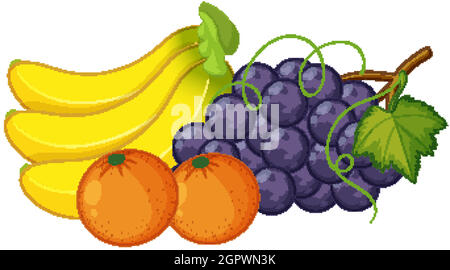 Gruppe von Früchten isoliert auf weißem Hintergrund Stock Vektor