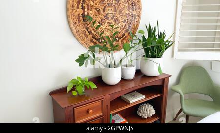 Nahaufnahme mehrerer Pflanzen in weißen Töpfen auf einem restaurierten antiken Möbelstück im Schlafzimmer und neben einem Stuhl an einem Fenster, alles in einer Vinta Stockfoto