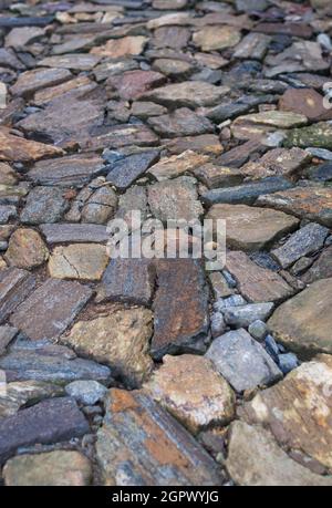 Steinpfad oder Steinweg, Abschnitt von Trittsteinen des Gartenweges, in geringer Schärfentiefe geschossen, Texturhintergrund Stockfoto