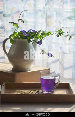 Schmetterling Erbsenblumen Tee Fotografie Stockfoto