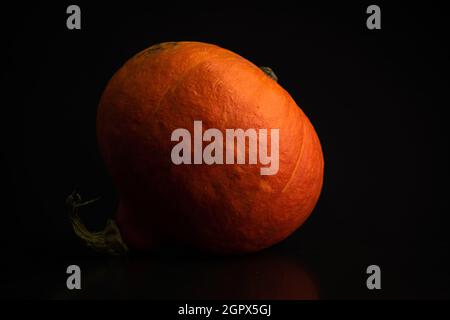 Herbstrot Kuri oder orange Pumkpin auf schwarzem Hintergrund. Konzept für frische Gemüsekost Stockfoto