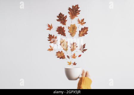 Flache Lay-Komposition mit Herbstblatt und Morgen. Herbst-Herbst-Konzept. Minimalistisches Konzept. Hochwertige Fotos Stockfoto