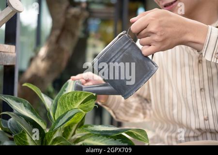 Asiatische Mann Kleinunternehmer Bewässerung Topf Zimmerpflanze im Gewächshaus. Stockfoto