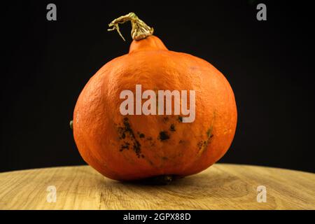 Orange Hokkaido Pumpkin oder Red Kuri auf einem Holzschneidebrett auf schwarzem Hintergrund. Herbst frisches Gemüse Food Konzept Stockfoto