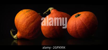 Hokkaido Pumpkin oder Red Kuri auf schwarzem Hintergrund in Nahaufnahme Stockfoto