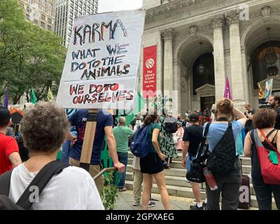 Mitglieder von Extinction Rebellion und ihre Unterstützer versammeln sich in New York, um Maßnahmen der Regierung und der Politik zur Verhinderung des katastrophalen Klimawandels zu fordern. (© Frances M. Roberts) Stockfoto