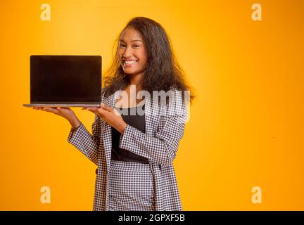 belle femme d’affaire qui travaille sur un ordinateur Stockfoto