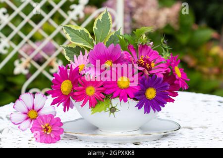 Romantisches Bouquet von rosa und lila Astern und Zinnien in Vintage-Sauce Boot Stockfoto