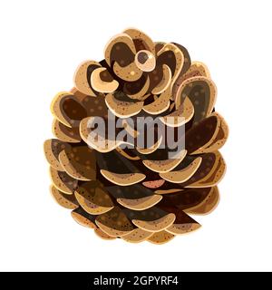 Kiefer-Konus isoliert auf weißem Hintergrund.einzelne offene Tannenkonus.Braune Zedernkegel Symbol.Weihnachten oder Herbst Urlaub Design-Element.Stock Vektor Illustration Stock Vektor