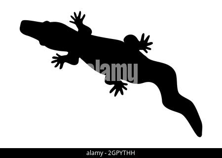 Schwarze Silhouette von Krokodil isoliert auf weißem Hintergrund. Alligatorzeichen oder -Symbol. Einfache flache Reptil-Symbol.Wild Tier Umriss.Vektor-Illustration Stock Vektor