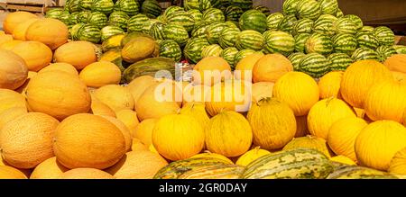 Melonen, Wassermelonen, die am Boden verkauft werden, werden auf dem saisonalen Outdoor-Markt in Kyzyl-Orda, Kasachstan, Zentral- und Asien ausgestellt Stockfoto