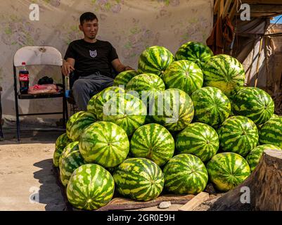 Kasachischer Mann, der Wassermelonen am Boden auf dem saisonalen Outdoor-Markt in Kyzyl-Orda, Kasachstan, Zentral- und Asien verkauft Stockfoto