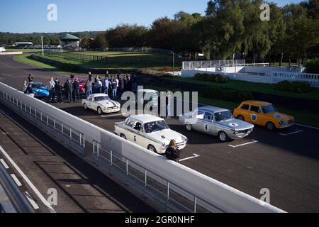 Eine Reihe von klassischen Sportwagen, darunter ein Lotus Cortina. BMW, Mini, MGB und ein Austin A40. Stockfoto