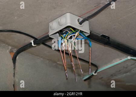 Offene Anschlussdose mit verdrillten und gelöteten Elektrokabeln, die an der Decke befestigt sind Stockfoto