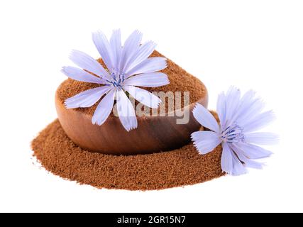 Zichorien-Pulver und Blume in Holzschale, isoliert auf weißem Hintergrund. Cichorium intybus. Stockfoto