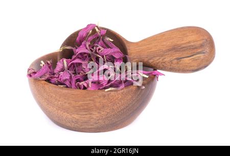 Getrocknete Echinacea Blüten in Holzschale und Löffel, isoliert auf weißem Hintergrund. Blütenblätter von Echinacea purpurea. Heilkräuter. Stockfoto