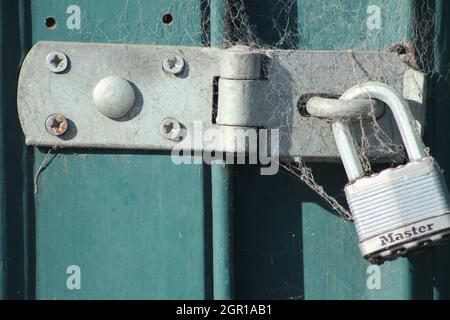 Vorhängeschloss mit Spinnweben an verriegelter grüner Tür (Nahaufnahme) Stockfoto