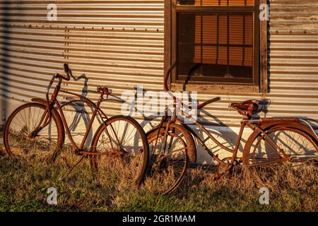 Rostige Oldtimer-Fahrräder werfen in der Nachmittagssonne goldene Schatten gegen eine Metallwand. Stockfoto
