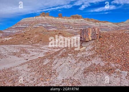 Hoodoos auf dem Blue Mesa Ridge, vom Blue Mesa Trail aus gesehen, im Petrified Forest National Park. Stockfoto