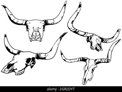 Set von Stier Schädel Illustrationen Stock Vektor