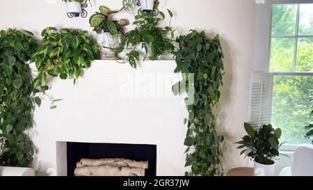 Nahaufnahme eines Kamins mit einem Holzofen und vielen Pflanzen daneben in minimalistischem Stil. Stockfoto