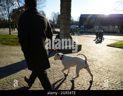 02-22-2014 Mailand. Dreharbeiten mit Verkabelung, so dass der Hund scharf ist (Mann abd dof zu Fuß im Park Sempione , Stockfoto