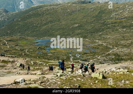 VESTLAND COUNTY, NORWEGEN - 26. JULI 2019: Eine Gruppe von Wanderern geht auf dem Wanderweg nach Trolltunga Stockfoto