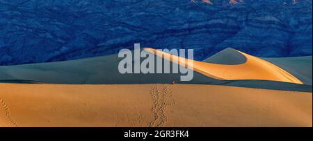 Sanddünen leuchten kurz nach Sonnenaufgang in den Sanddünen der Mesquite-Ebenen rot Stockfoto