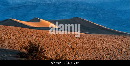 Mesquite Sand Dunes bei Sonnenaufgang im Death Valley National Park Stockfoto