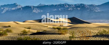 Mesquite Flats Sanddünen in der Nähe von Stovepipe Wells im Death Valley National Park Stockfoto