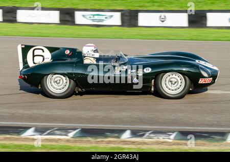 1955 Jaguar D Type Long Nose Classic, klassischer Le Mans-Rennwagen, der beim Goodwood Revival 2014 im Lavant Cup fuhr. 774 RW, Chassis XKD 505 Stockfoto