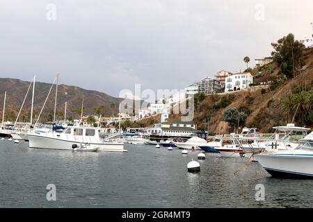 24. September 2021, Avalon, CA, USA: LOS ANGELES - SEP 24: Catalina East Hills from the Catalina Harbour on September 24, 2021 in Avalon, CA (Bildnachweis: © Kay Blake/ZUMA Press Wire) Stockfoto