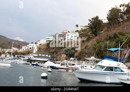 24. September 2021, Avalon, CA, USA: LOS ANGELES - SEP 24: Catalina East Hills from the Catalina Harbour on September 24, 2021 in Avalon, CA (Bildnachweis: © Kay Blake/ZUMA Press Wire) Stockfoto