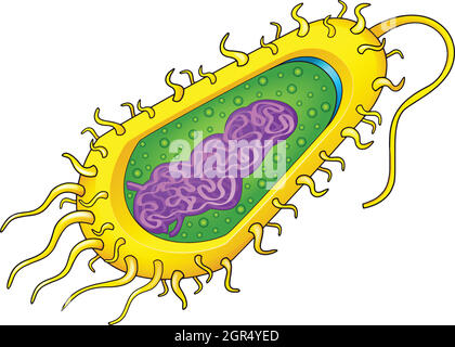 Bakterien Zelle Stock Vektor