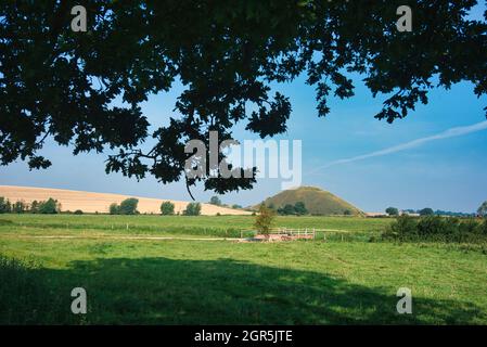 Berühmtes altes Wahrzeichen in der Landschaft von Südwestengland, mit dem Schatten der Bäume im Vordergrund. Stockfoto