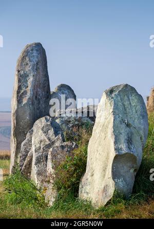 Alte neolithische Steine an einem historischen Wahrzeichen aus dem Jahr 3650 v. Chr., gelegen im Südwesten Englands in der Nähe der Stadt Avebury. Stockfoto