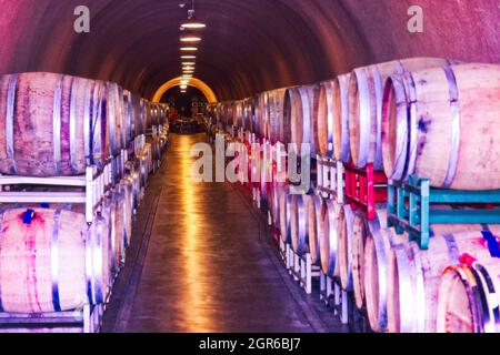 Weintunnel! Ein langer Tunnel zum Verkostungsraum, mit Weinfässern, in der Deerfield Ranch Winery in Kenwood, CA Stockfoto