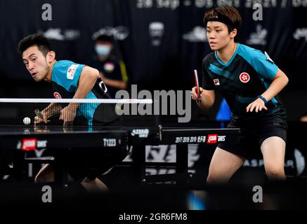 Doha, Katar. September 2021. Wong Chun Ting (L) und Doo Hoi Kem aus Hongkong (China) treten während ihrer gemischten Doppelrunde von 32 gegen Harmeet Desai und Sreeja Akula aus Indien bei den ITTF-ATTU Asienmeisterschaften 2021 in Doha, Katar, am 30. September 2021 an. Kredit: Nikku/Xinhua/Alamy Live Nachrichten Stockfoto