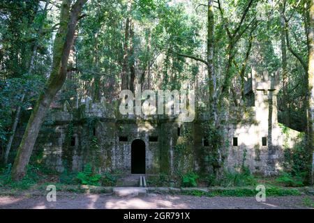 Moosiges Schloss im verwunschenen Wald von Aldan. Galicien - Spanien Stockfoto