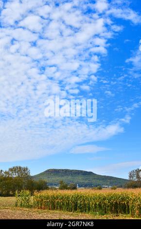 Ein großer, interessanter Himmel mit einem Kornfeld und einem niedrigen Berg im Hintergrund. Stockfoto